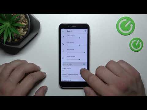 How to Turn On / Turn Off the Ringtone Vibration on the EMPORIA Smart 4
