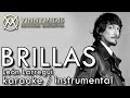 Brillas (Karaoke) - León Larregui