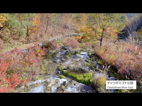 4K六合②「中之条町六合ー秋編ー」