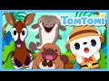Unusual Hybrid Creatures We Are Unexpected Half And Half Animals Animal Song TOMTOMI