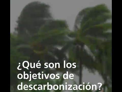 Vista previa del video