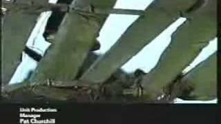 118 - Trailer