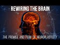 Rewiring The Brain The Promise And Peril Of Neuroplasticity