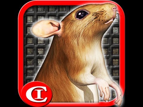 Sewer Rat Run! 3D Video