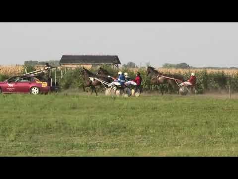 Trka "Konjički klub Žabalj" 28.8.2022. Amela - Božidar Miloradović