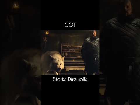 Starks direwolves | GOT #got #direwolf #starks #jonsnowedit #wolf #gameofthrones #winter #wolfpup