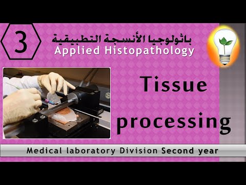 Histopathology 1 Introduction to basic pathology مقدمة إلى أساسيات الباثولوجي