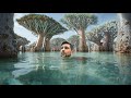 Why You NEED To Travel Yemen 7 Days In Socotra