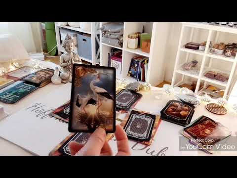 Wochen Auswahlorakel vom 06.05.20 bis 12.05.20 - Weiterentwicklung (Hoffnungsstern Dubois)