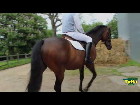 Tuffa Boots - Berkshire Hunt Riding Boot