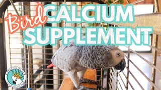 Download lagu Apa yang Terjadi Jika Burung Anda Tidak Mendapatkan Kalsium yang Cukup? mp3