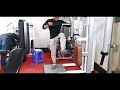 Hip flexor or flexion