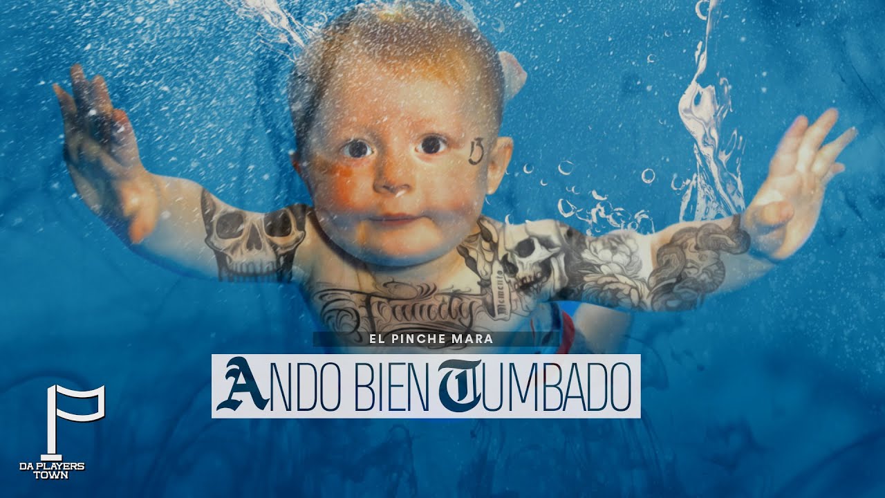 Ando Bien Tumbado By El Pinche Mara From Mexico Popnable ando bien tumbado by el pinche mara