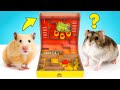 DIY Hamster Maze With Pringles Can And Spinner Obstacles