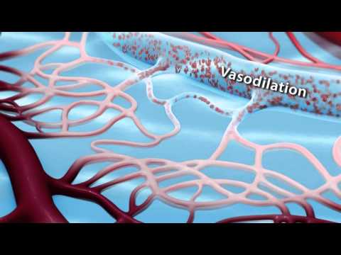 Capillary Animation