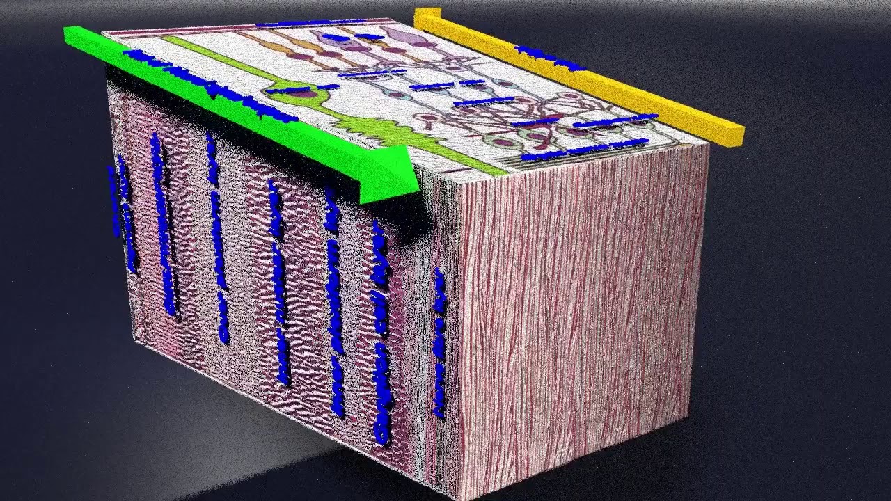 Retinal layers detail microscopic and schematic 3D Model