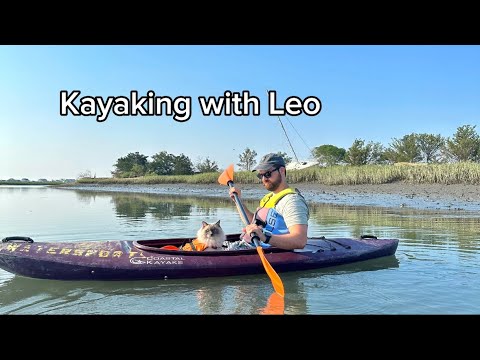 Kayaking With My Cat