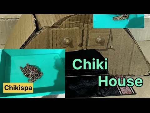 Van devi is live chiki ki activity #love #mumbaivlognn