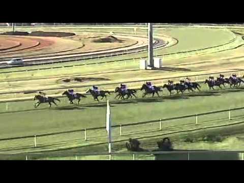 2014.04.26 S A Derby - Louis The King