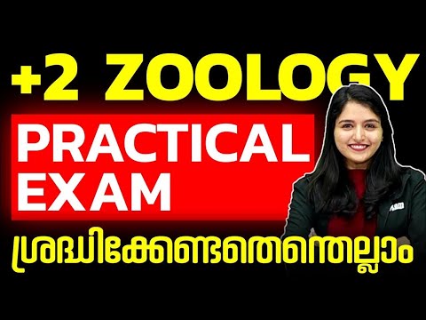 Plus Two Zoology Lab Practical | Zoology  Lab Exam ശ്രദ്ധിക്കേണ്ടതെന്തെല്ലാം  | Exam Winner