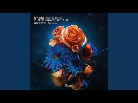 Is It Ok? (Skuro (IT) Extended Remix)