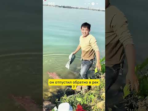 Саламдра