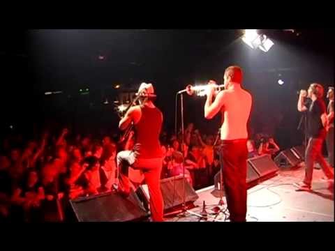 Mad Caddies - Live and Backstage(Munich 2007.05.15)