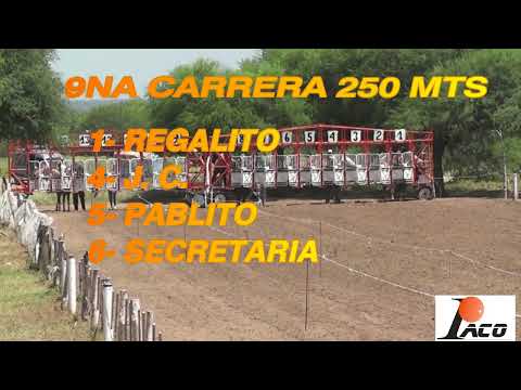 REGALITO  HIPODROMO PANGARE 20 02 2022