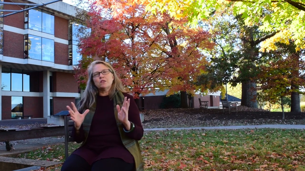 Sustainability Talks: Global Studies and Global Sustainability