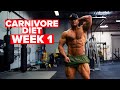 Carnivore Diet Week 1 Update