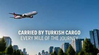 TK Auto – Turkish Cargo