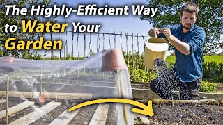 Simple Guide to Watering | Highly-Effective Watering Methods for the Vegetable Garden