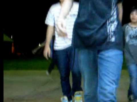 Fenix Styler'S Trainning + bonus