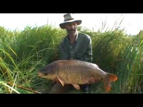 Caught In Time - The Fishing Diaries Of Chris Yates - Carp Fishing