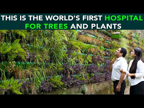 This Is The World's First Hospital For Trees And Plants | Anuj Ramatri - An EcoFreak