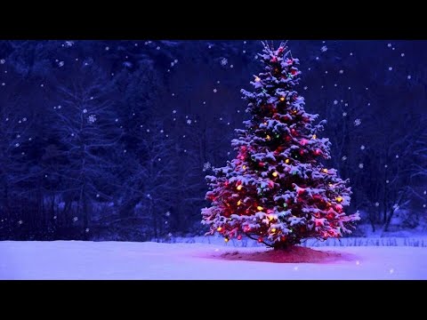 Vianočná besiedka ZŠ Čičava 2025