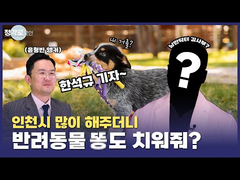 [정각로그인] 인천시 미등록 장애인과 반려인을 위한 정책 시행!