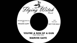 Marvin Gaye - You're A Son Of A Gun