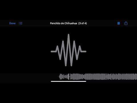 Panchito De Chihuahua