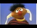Sesame Street 50th Anniversary Special Put Down The Duckie