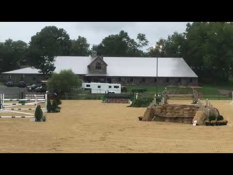 $7500 Covert Farm Jumper Derby - Andrew Ross/Estella Zazoom