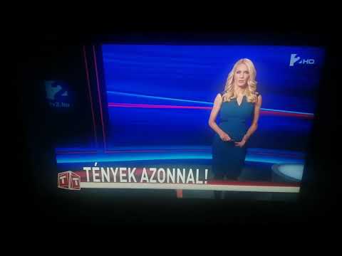 Vitányi Judit - TV2 HD - Tények Azonnal!