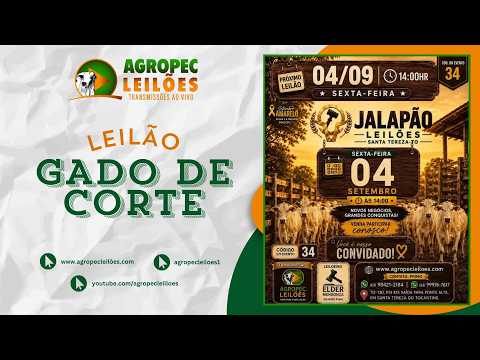 Agropecleiloes.com LEILÃO GADO DE CORTE | JALAPÃO LEILÕES - SANTA TEREZA-TO | 04/09/2026.