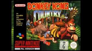 Donkey Kong Country - Winky's Walkway Theme