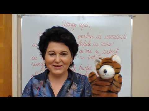 061, Lectii online, CLR, clasa a II-a - Comunicarea scrisa