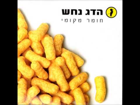 הדג נחש - חליפות עם ליאורה יצחק
