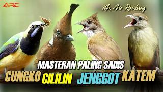 Download lagu KAPAS TEMBAK - CILILIN -CUCAK JENGGOT - CUNGKO | MASTERAN MEWAH SANG JUARA PENGUNCI JURI mp3