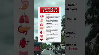 Download lagu yang di takuti oleh organ tubuh kita #obatkesehatan #obatherbal#hidupsehat mp3 Download lagu yang di takuti oleh organ tubuh kita #obatkesehatan #obatherbal#hidupsehat mp3