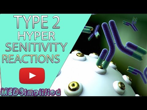 Type 2 Hypersensitivity Reaction Made Easy  Immunolgy