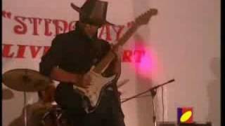 Download lagu Hayn Stingray - Darud Sadung mp3